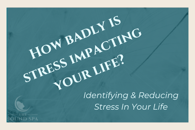 The Impact of Stress